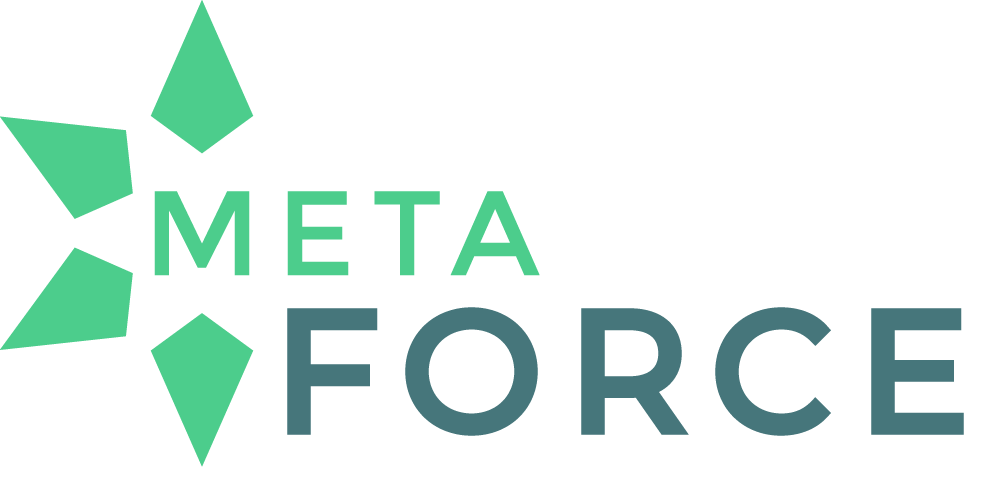 metaforce-salesforce-integration meta-presence-crm_1